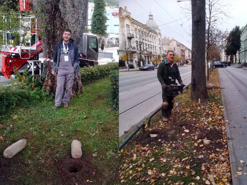 Ugradnja-prihrane-za-stabla-Herbafertil-u-Dubrovniku-i--Osijeku